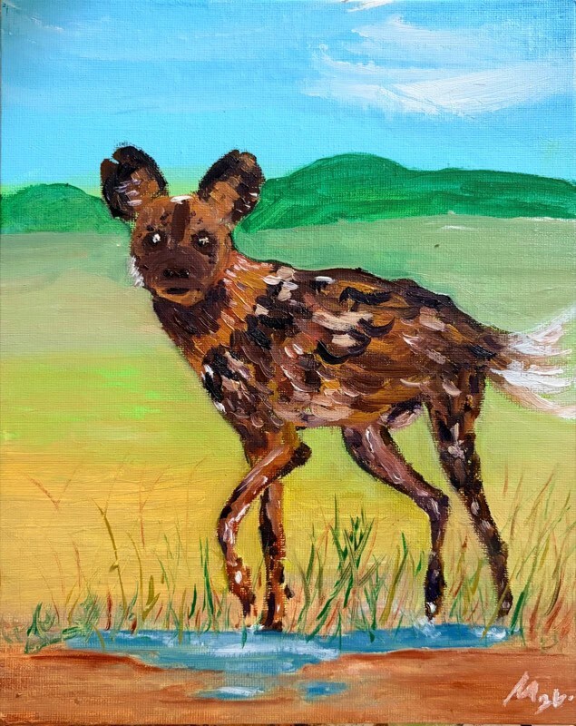 African Wild Dog